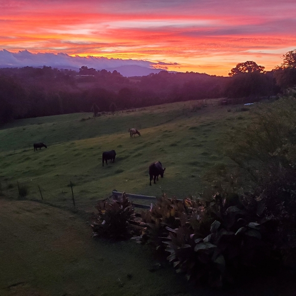 Meet your Posher, Brenna - Picture 6 of 12